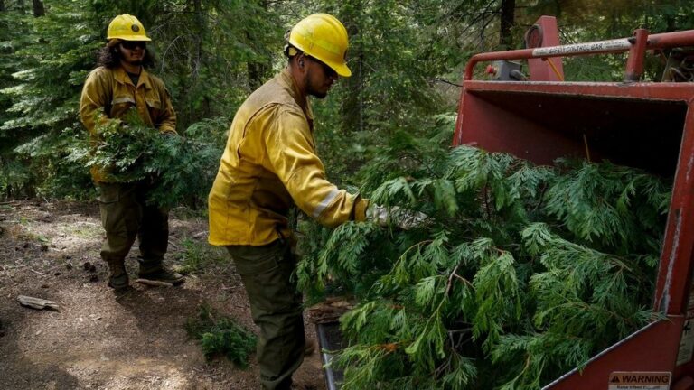 CÓMO DESPIDOS MASISA AUMENTAN RIESGO DE INCENDIO