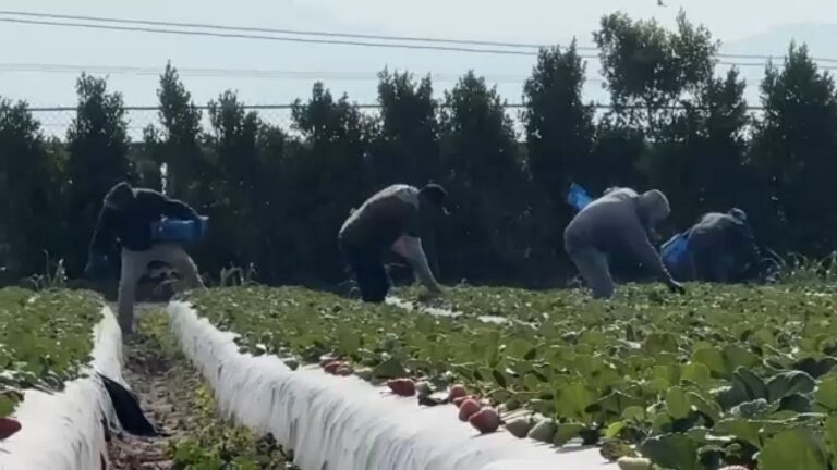 Organizaciones proinmigrantes educan a trabajadores