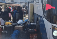 Aumenta la salida voluntaria de haitianos – Remolacha