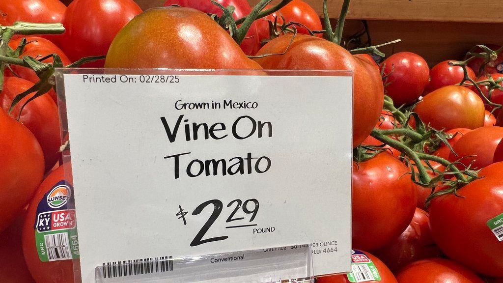 México Busca Evitar Arancel «Sin Razón» del 21 % Al Tomate