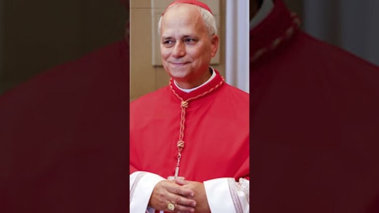 Nuevo Papa elegido: ¿qué sabemos?#papa #pope #papaleon14