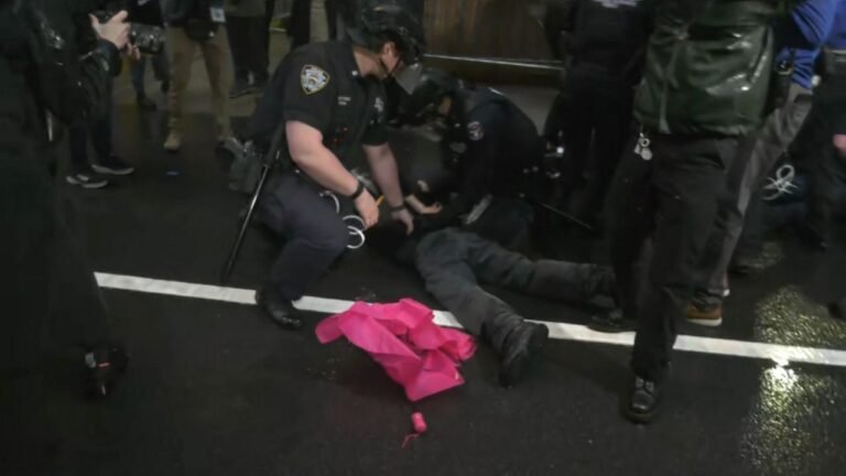 Al Menos 20 arrestados en protestas anti hielo