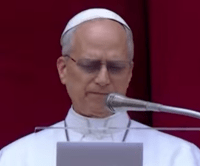El papa León XIV: “Nunca más la guerra” – Remolacha