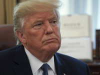Anuncian más de 2,000 protestas contra Trump – Remolacha