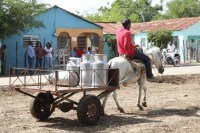 Hoy es Día Mundial de la Leche – Remolacha