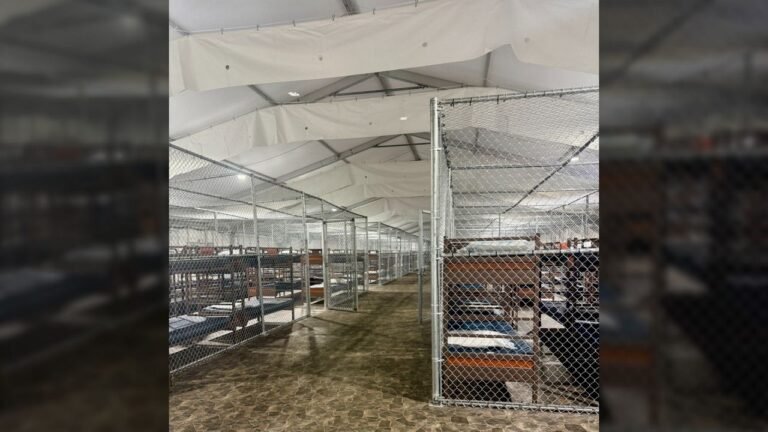 Inmigrantes detenidos en ‘Alligator Alcatraz’ denuncian