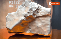 Venden meteorito de Marte por US$5.3 millones (video) – Remolacha