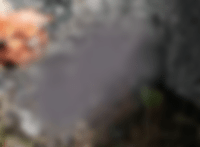 Captura-de-pantalla-2025-07-26-102908.png