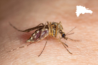 Azua y San Juan concentran 93.32% de los casos de malaria