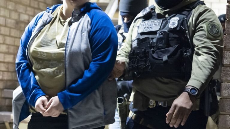 Demandan A Gobierno Trump por Accesso Centros de Detención