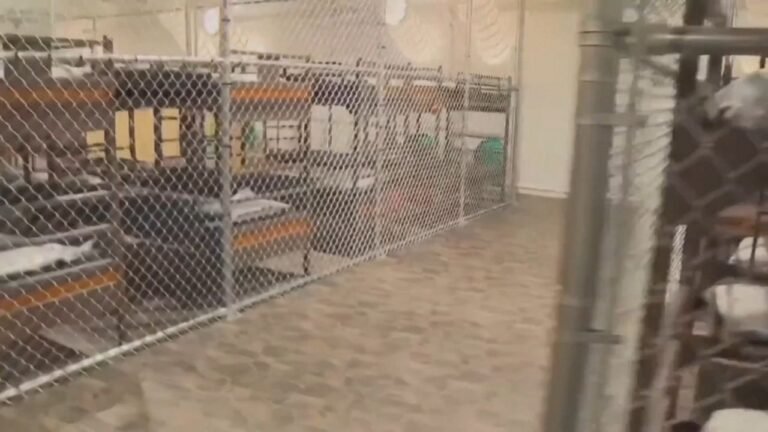 Demandan Violar Derechos Inmigrantes ‘Alligator Alcatraz’