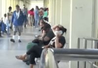 Virus respiratorio circula de manera sostenida en RD – Remolacha