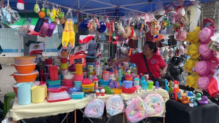 Vendores de Queens Están Nerviosos por Las Deportaciones