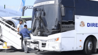 Llegan 127 dominicanos deportados desde Estados Unidos – Remolacha