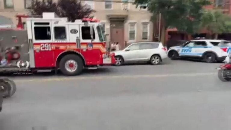 Mujer y Niña de dos Años Mueren Apuñaladas en Queens
