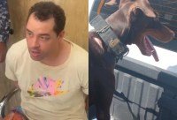 Tipo que lanzó perro desde torre tenía otro con signos de maltrato – Remolacha