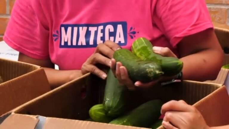 Recortes en fondos amenazan ldistribion de alimentos en ny