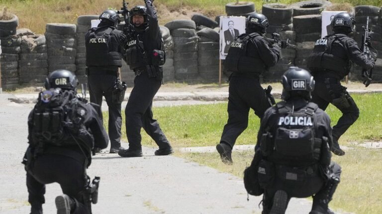 Ecuador y Ue Anuncian Plan para Enfrentar Crimen Organizado