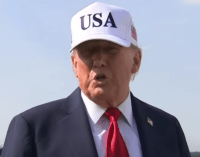 Trump ordena procesar a quien queme la bandera de EE.UU – Remolacha