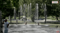 Alerta en España por segunda ola de calor del verano – Remolacha