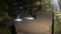 Tiroteo deja un muerto y cuatro heridos en El Bronx – Remolacha