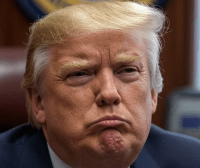 Trump analiza invitar a Zelenski a su encuentro con Putin – Remolacha