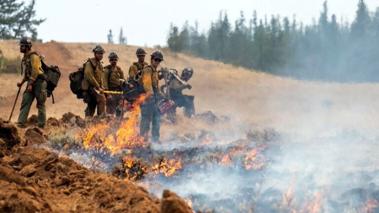 Patrulla fronteriza arreta 2 Bomberos Combatía Incendio