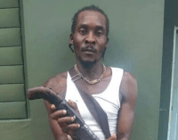 Arrestan haitiano armado en Elías Piña – Remolacha