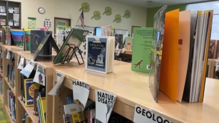 Florida Demanda A Empresas distribuidoras de biblioteca de texto