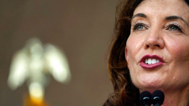 Hochul Redistribión Distritos Texas ‘Insurrección Legal’
