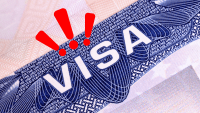 Estados Unidos planea reducir la duración de estos visados – Remolacha