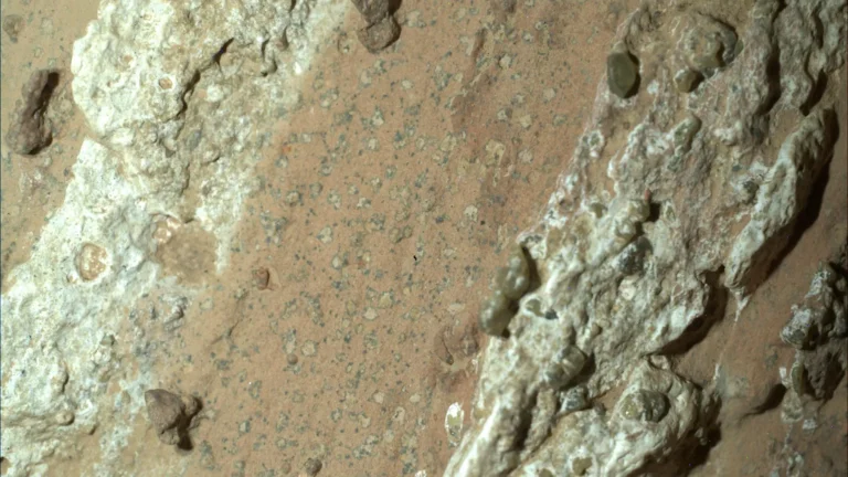 ¿Vida en Marte? La NASA descubre biosignaturas potenciales en piedras de barro marcianas