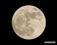 Día Internacional de la Observación de la Luna – Remolacha