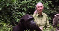 Jane-Goodall-.jpg