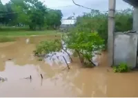 Lluvias-DN.webp.webp