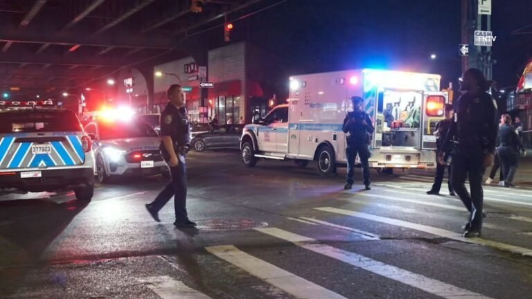 15 Cargos por el Atropello Mortal de Adolescente en Queens