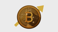 Bitcóin rompe récord y supera los 125,000 dólares – Remolacha