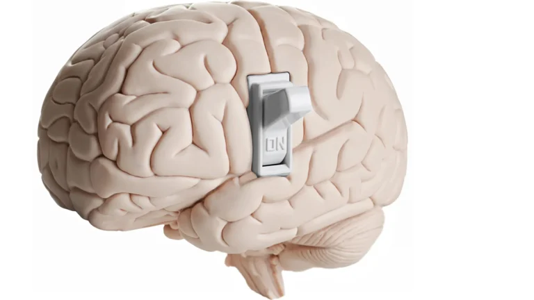 Los científicos descubren proteínas ocultas que apagan el hambre