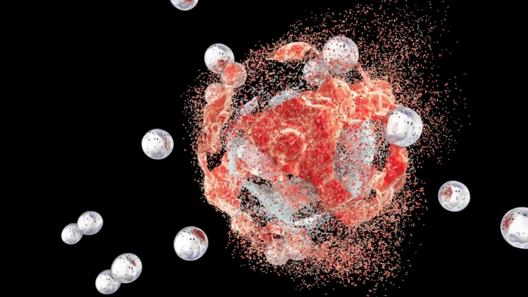 Las bacterias ocultas dentro de los tumores podrían ayudar a vencer el cáncer