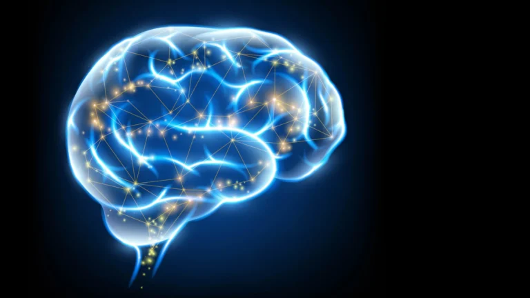 La vitamina K sobrealimentada podría ayudar al cerebro a curarse a sí mismo