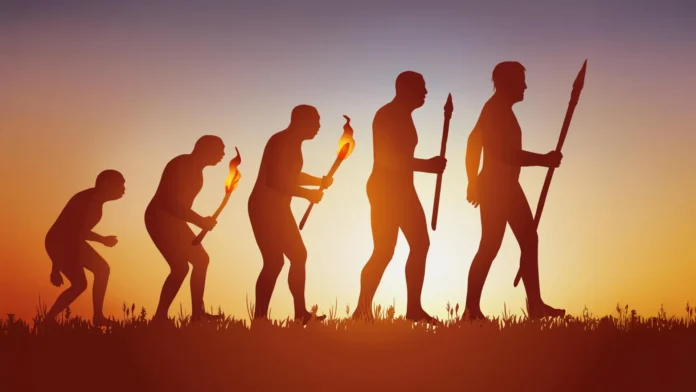 human-evolution-primitive-modern-man.webp.webp
