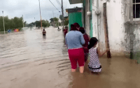 Al menos 29 muertos por lluvias e inundaciones en México – Remolacha