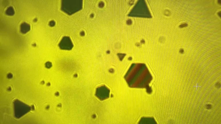 Los copos de oro exponen las fuerzas secretas que unen a nuestro mundo