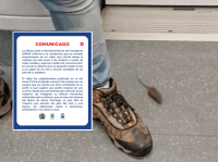 Opret niega presencia de ratones en trenes del Metro – Remolacha