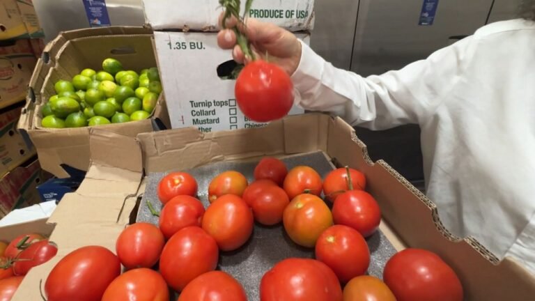 Rescatan alimentos del mercado Hunts Point