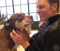 Tom Brady dice que clonó a su perra – Remolacha