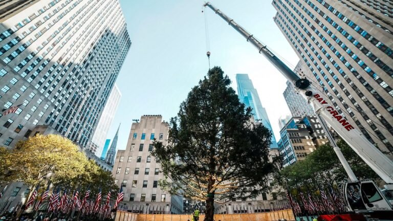 El árbol de Navidad del Rockefeller Center llega a Manhattan