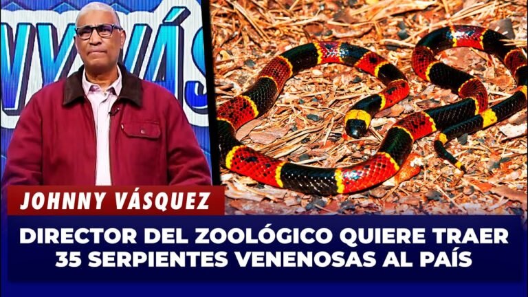 Johnny Vásquez: Director del Zoológico quiere traer 35 serpientes  venenosas al país | El Garrote