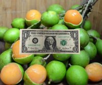 Tasa del dólar este martes 2 de diciembre – Remolacha