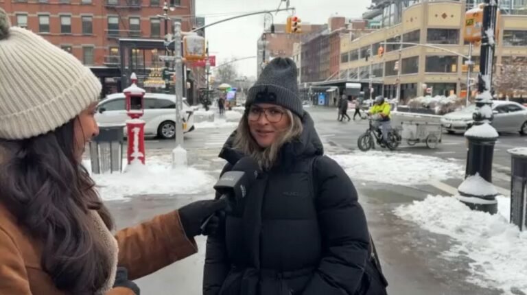 ‘Es mágica ver la ciudad vestida de blanco’: nieve en NYC
